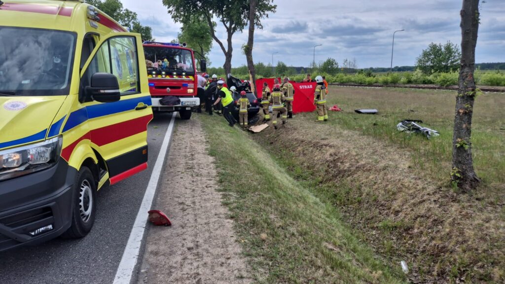 Zespół ratunkowy oraz strażacy udzielają pomocy po wypadku drogowym obok drogi, w otoczeniu drzew i trawy.
