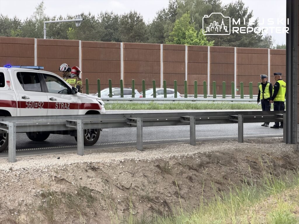 Strażak w kasku rozmawia z policjantami na poboczu drogi, obok zaparkowanego wozu strażackiego.