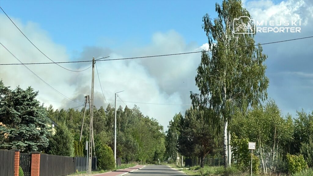 Dym unoszący się z lasu w tle, widoczny za zielonymi drzewami i słupami energetycznymi na osiedlowej ulicy.