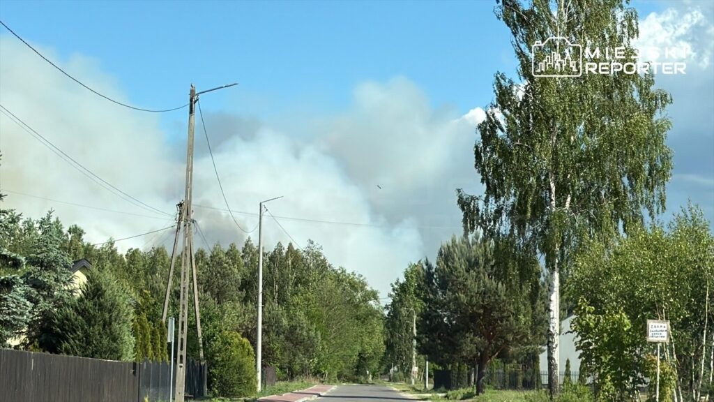 Dym unoszący się nad drzewami wzdłuż asfaltowej drogi, w otoczeniu domów jednorodzinnych i zieleni.