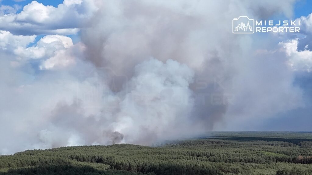 Gęsty dym unoszący się nad lasem, w tle niebieskie niebo z białymi chmurami.