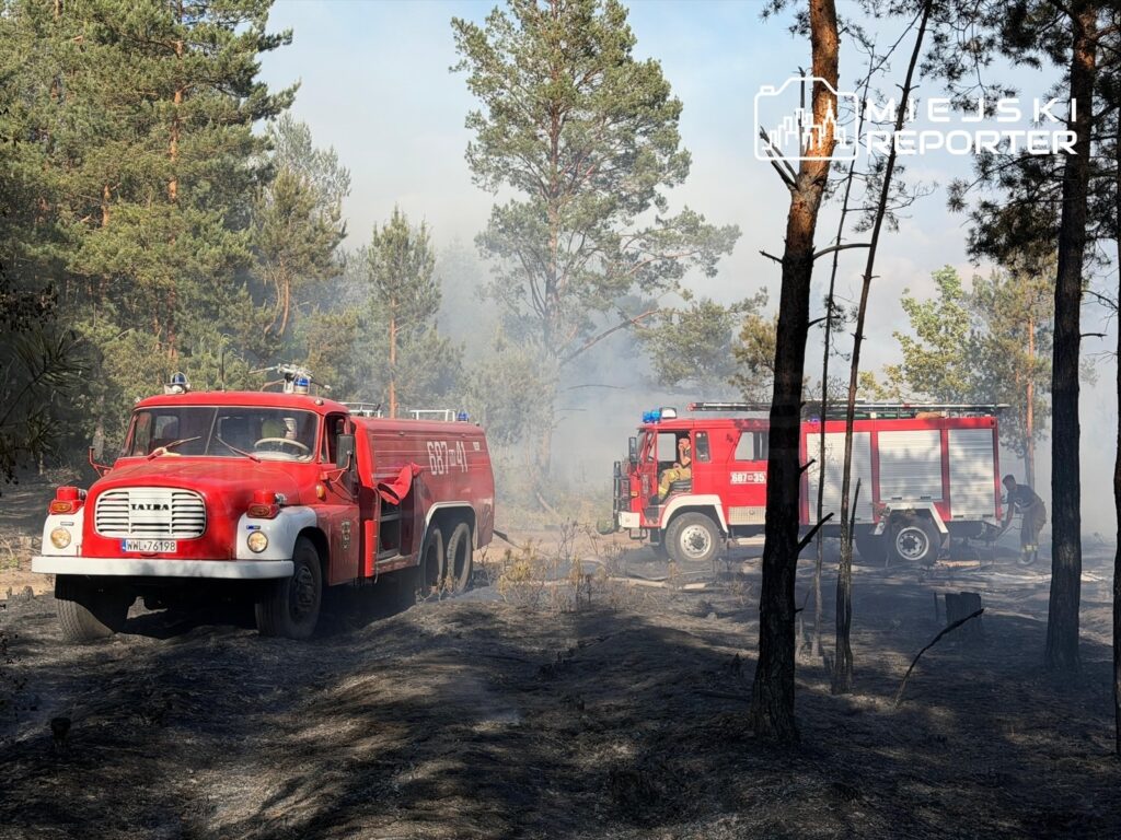 Czerwony wóz strażacki Tatra i nowoczesny wóz gaśniczy w akcji gaszenia pożaru w lesie, otoczone dymem i spaloną roślinnością.