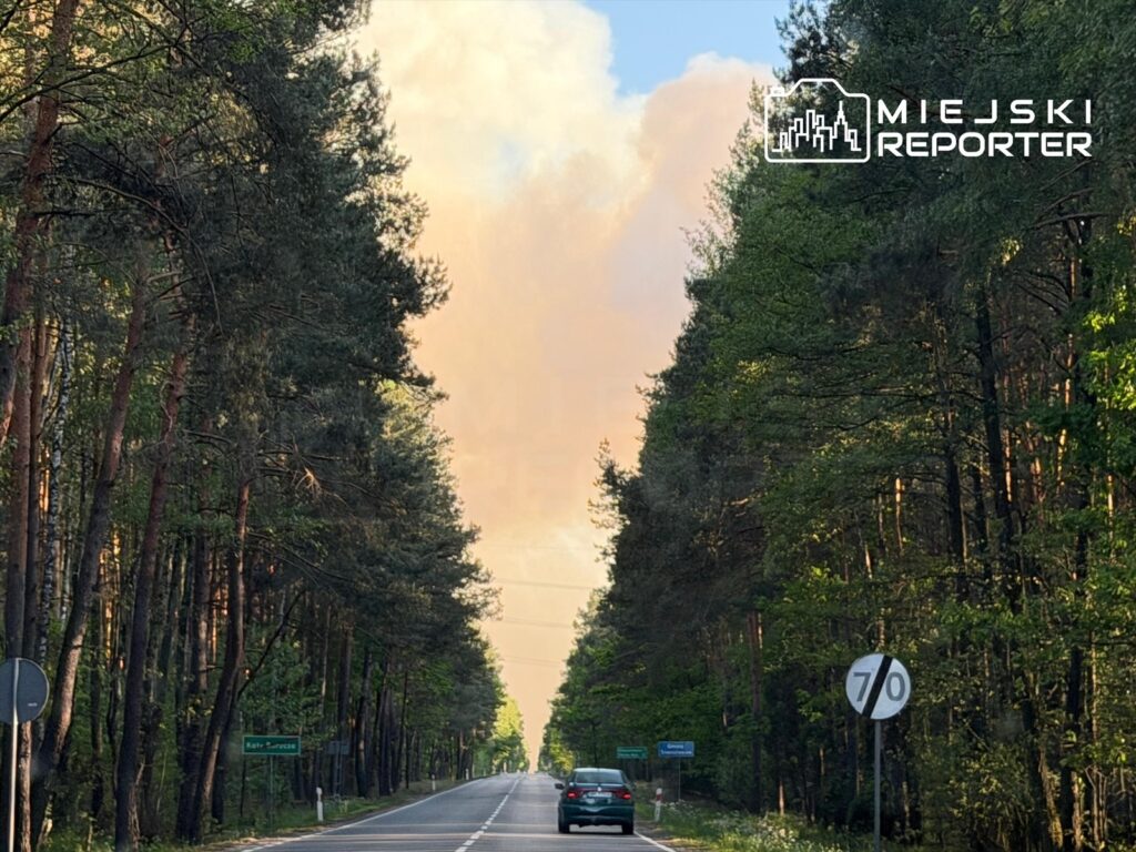 Droga otoczona wysokimi drzewami prowadzi w kierunku widocznego dymu na horyzoncie. Znaki drogowe wskazują prędkość 70 km/h.