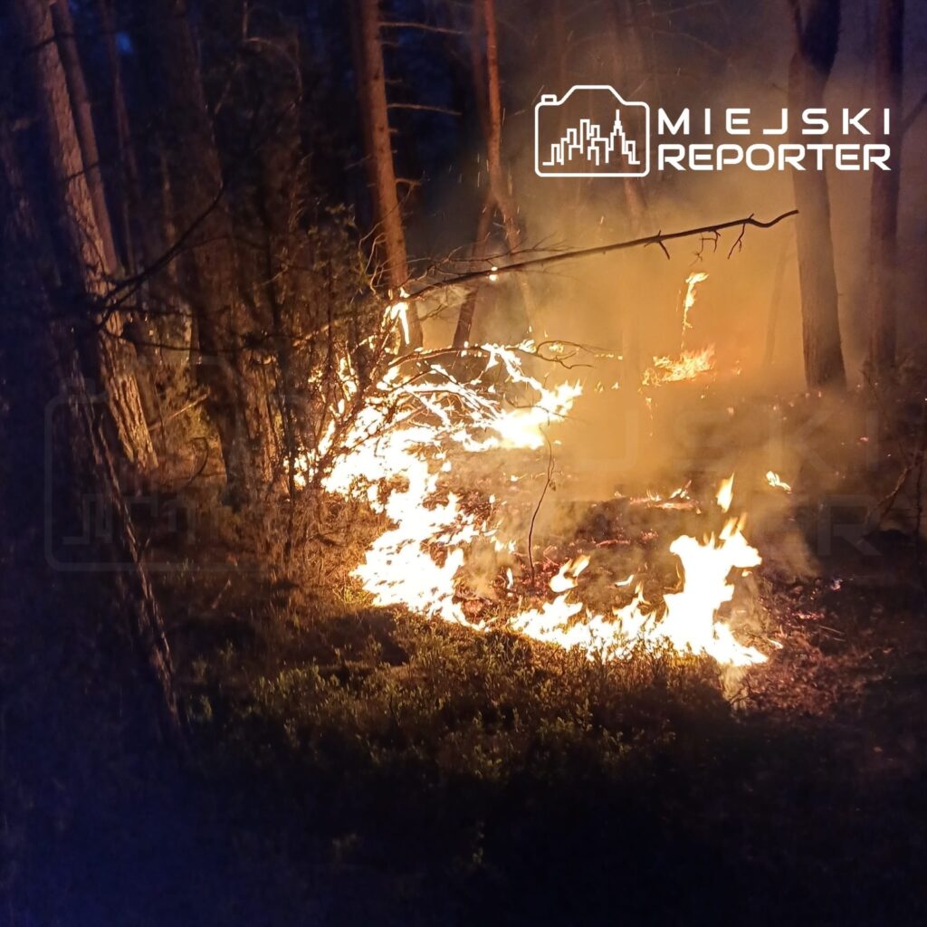 Pożar trawi roślinność w lesie, a płomienie rozprzestrzeniają się wśród drzew w nocy.