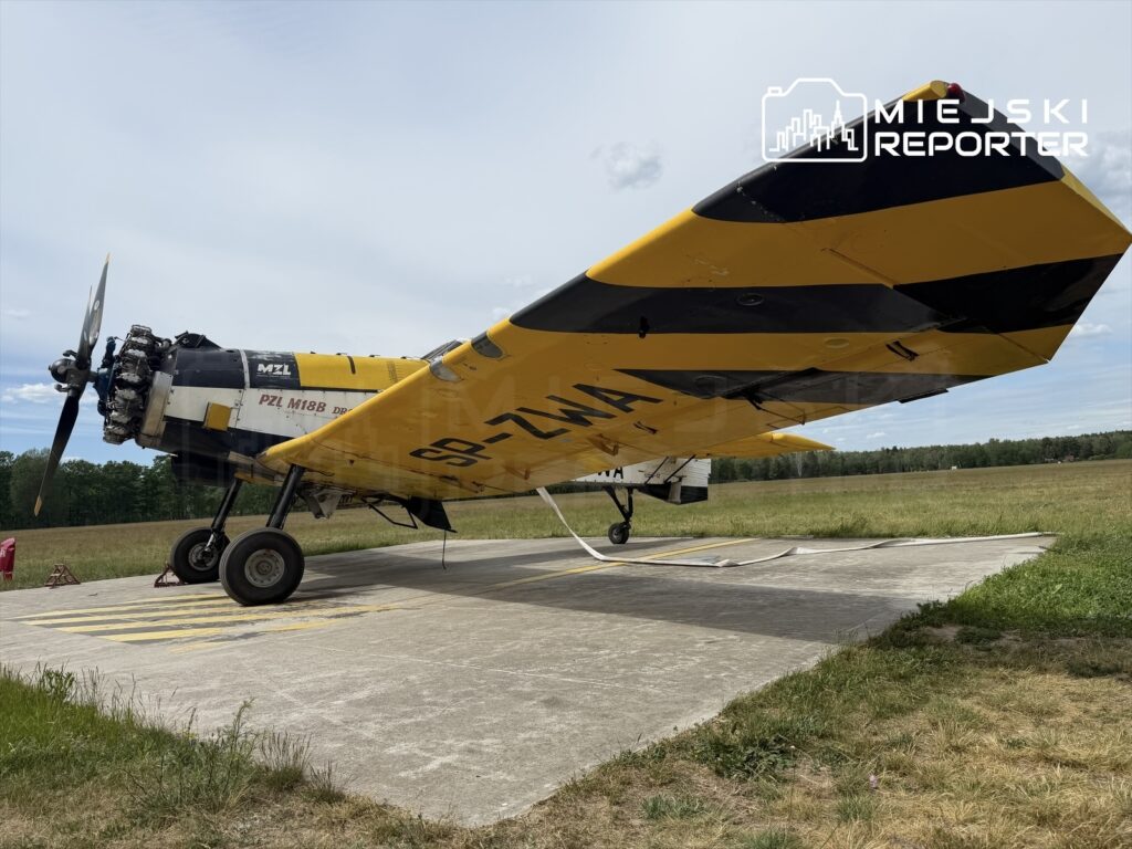 Samolot PZL M-18B w kolorze żółto-czarnym stoi na płycie lotniska, otoczony zielonymi łąkami.