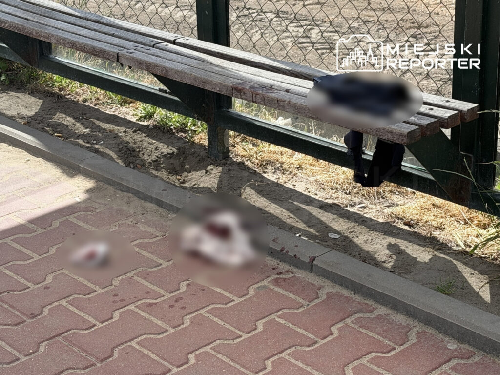 Na chodniku w pobliżu ławki znajdują się plamy krwi oraz nieokreślone obiekty.