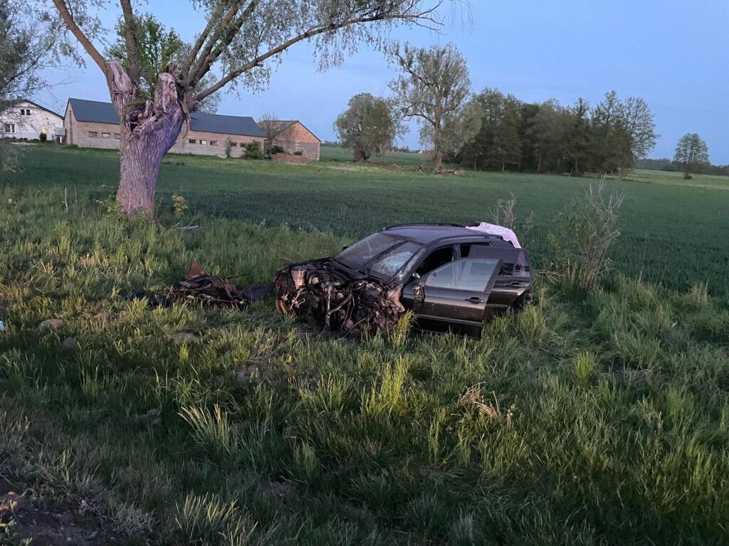 Wrak samochodu osobowego leży w wysokiej trawie na polu, obok uschniętego drzewa i budynków gospodarczych w tle.