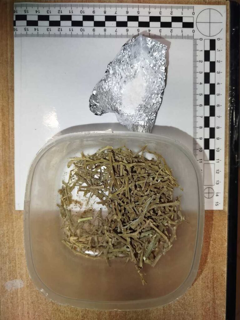Suszone zioła umieszczone w przezroczystym pojemniku, obok folia aluminiowa z białym proszkiem, na tle linijki.