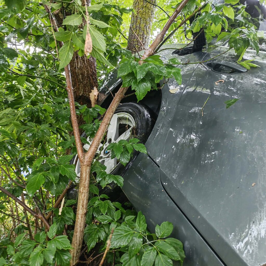 Samochód w kolorze szarym wjeżdżający w zarośla, z jedną oponą uniesioną w górę, otoczony gęstą roślinnością.