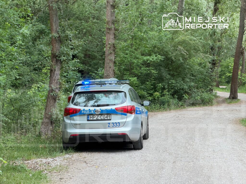 Policyjny samochód zaparkowany na leśnej drodze, otoczony gęstą roślinnością. Na dachu świecą niebieskie światła.