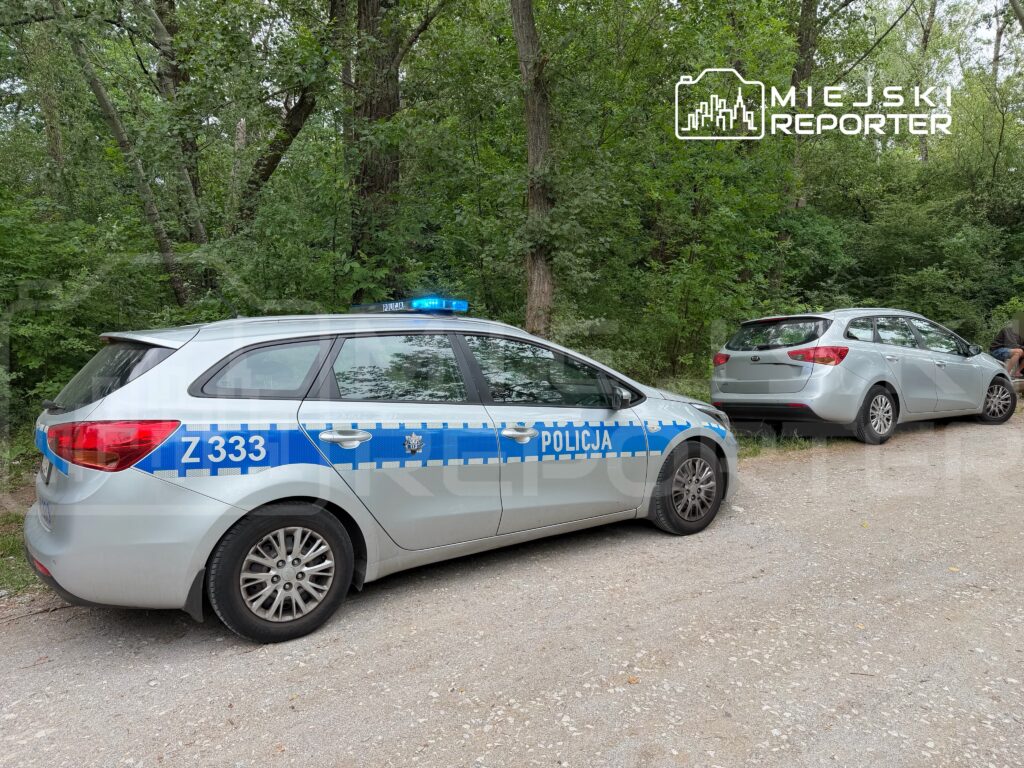Policyjny samochód z włączonymi sygnałami świetlnymi stoi na leśnej drodze obok szarego pojazdu osobowego.