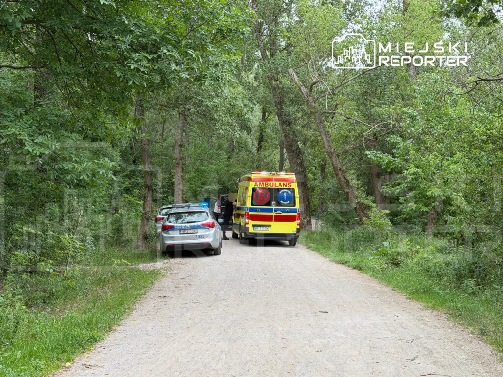 Karetka pogotowia i radiowóz zatrzymane na leśnej drodze, otoczone gęstą roślinnością.