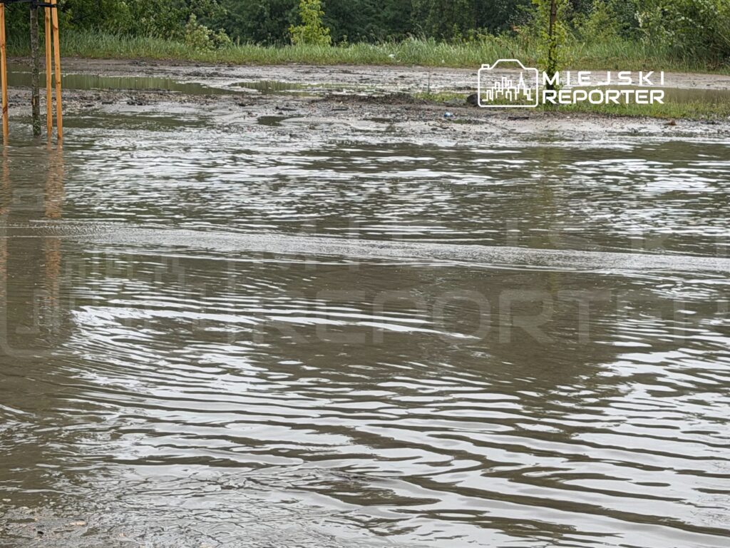 Zalany teren z widocznymi kałużami wody, zarośla w tle i drewniane słupy przy drodze.