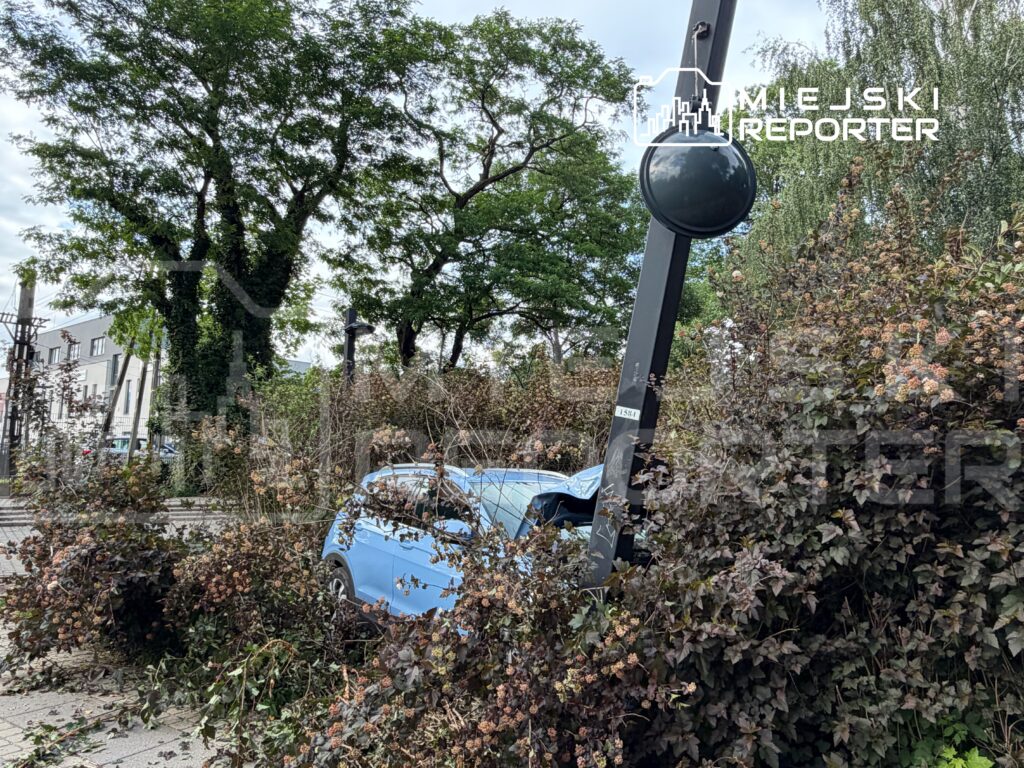 Niebieski samochód osobowy zaparkowany w zaroślach obok latarni ulicznej, otoczony suchymi gałęziami.