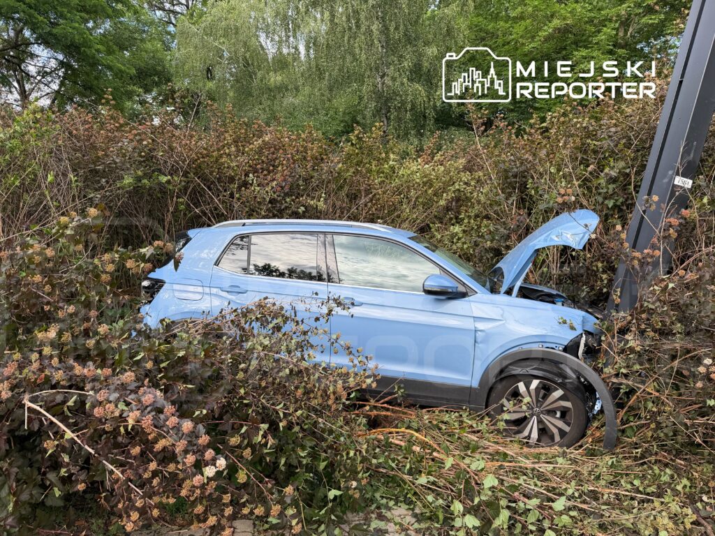 Niebieski samochód osobowy wjeżdżający w gęste zarośla, z otwartą maską i uszkodzeniami na przedniej części.