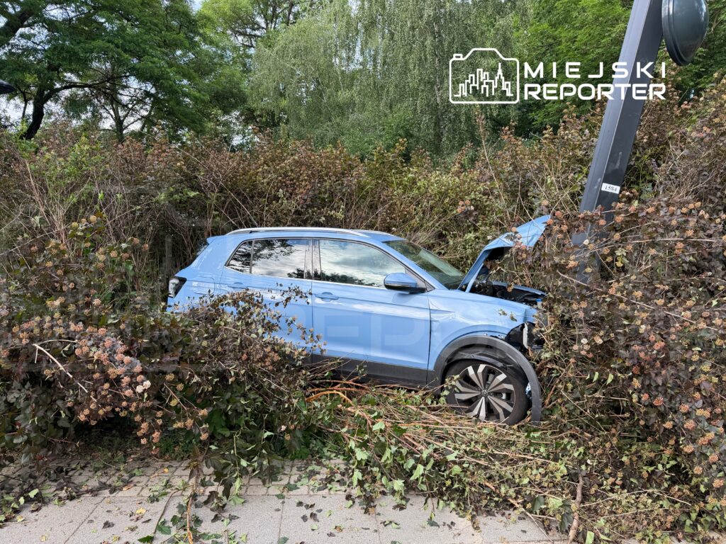 Niebieski samochód osobowy stoi wśród gęstych krzewów, z otwartą maską, na poboczu drogi.