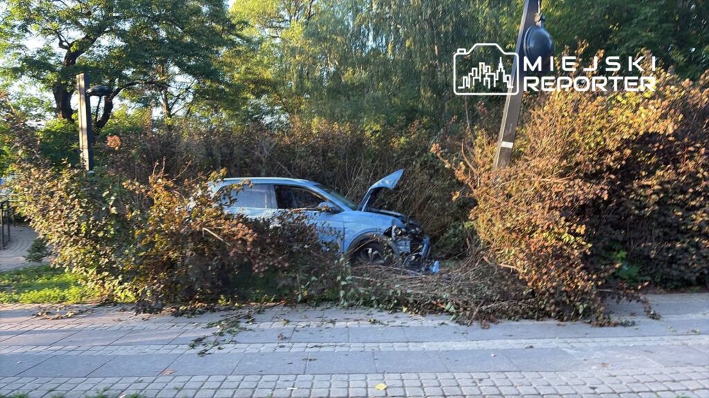 Niebieski samochód osobowy z otwartą maską stoi wśród zarośli przy chodniku, obok latarni ulicznej.