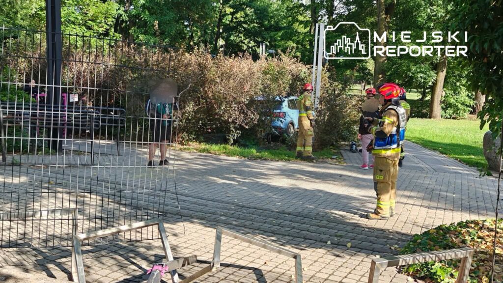 Strażacy w specjalnych strojach oceniają sytuację obok uszkodzonego pojazdu w parku.