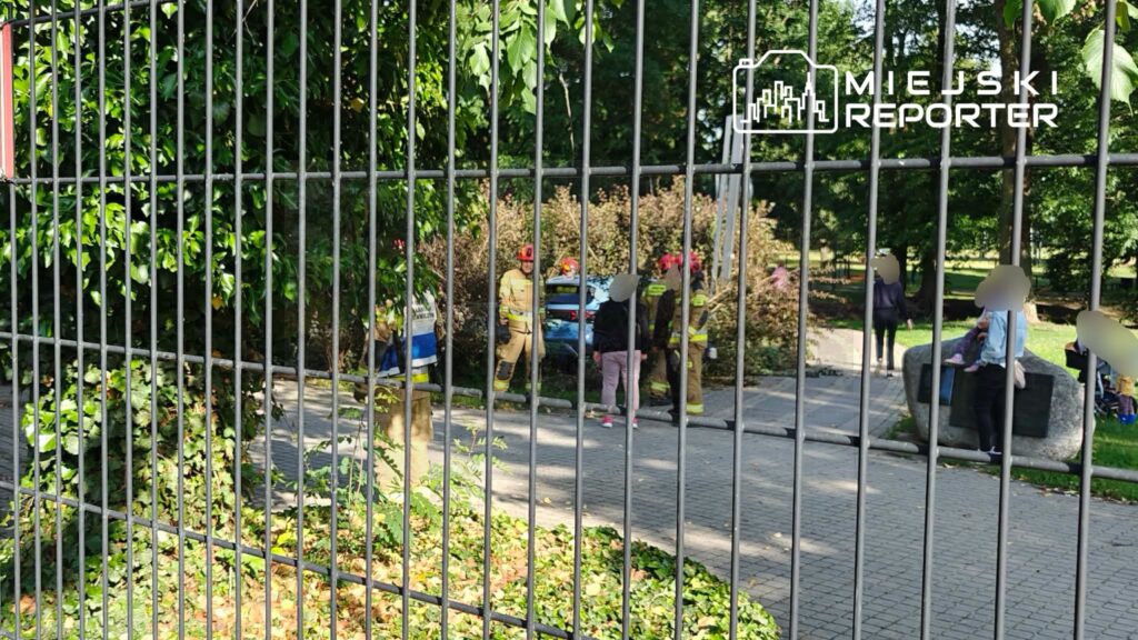 Grupa strażaków w mundurach rozmawia z osobą na chodniku w parku, obok niebieskiego samochodu.