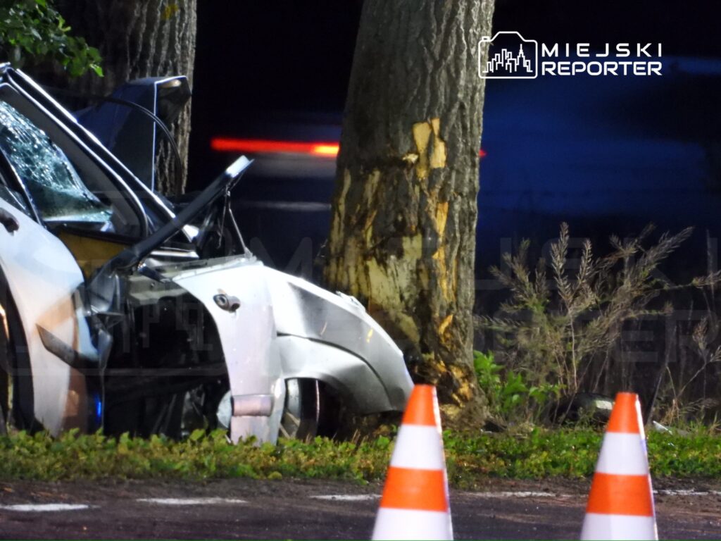 Samochód osobowy uderzony w drzewo, z uszkodzoną karoserią, stoi na poboczu drogi, otoczony pachołkami drogowymi.
