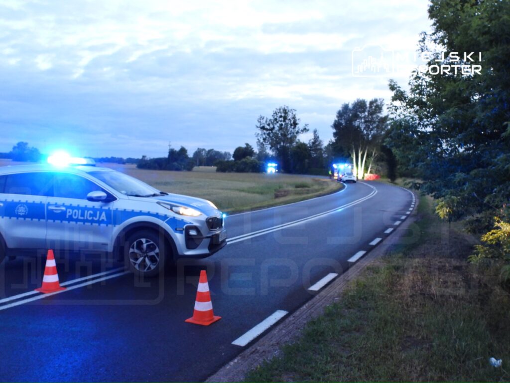 Policyjny radiowóz z niebieskimi światłami zatrzymany na drodze, obok ustawione pachołki, w tle widoczne drzewa.