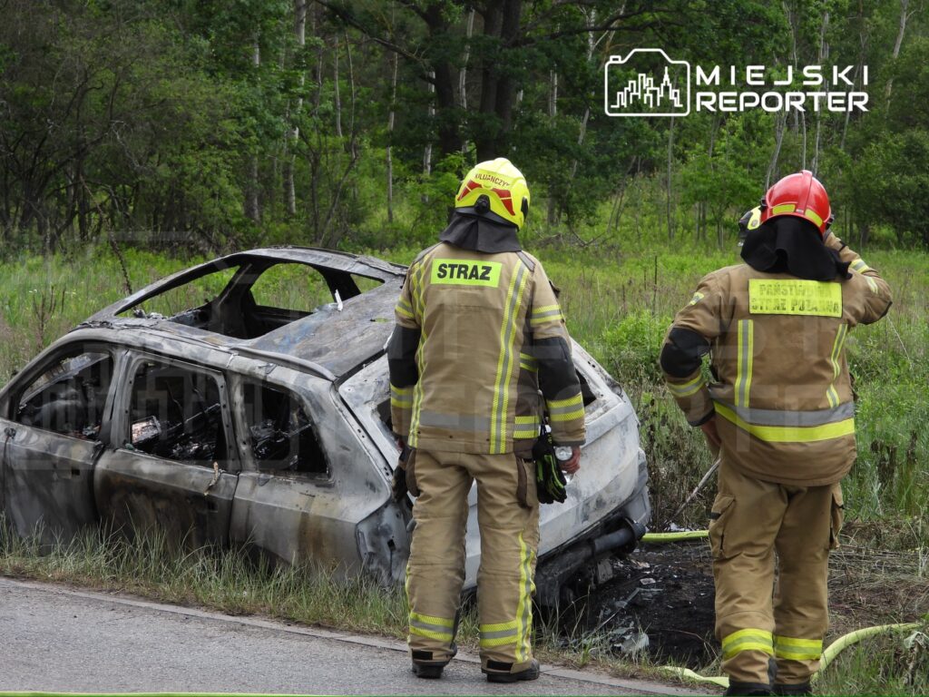 Dwaj strażacy w mundurach obserwują spalone auto na poboczu drogi, w tle zieleń lasu.