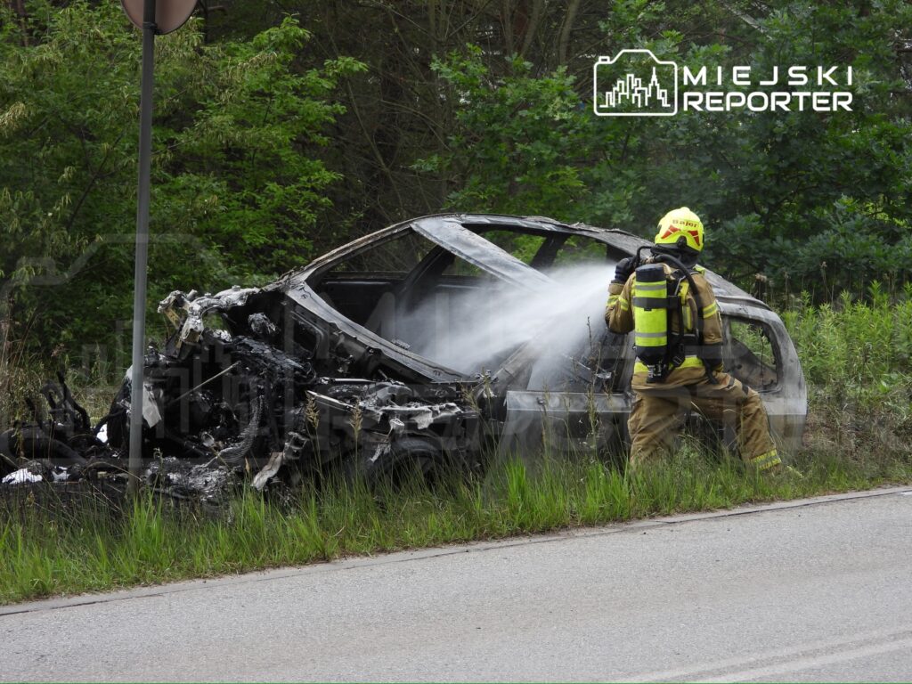 Strażak w pełnym ubraniu gaśniczym gasi płonący wrak samochodu na poboczu drogi, otoczony zielenią.