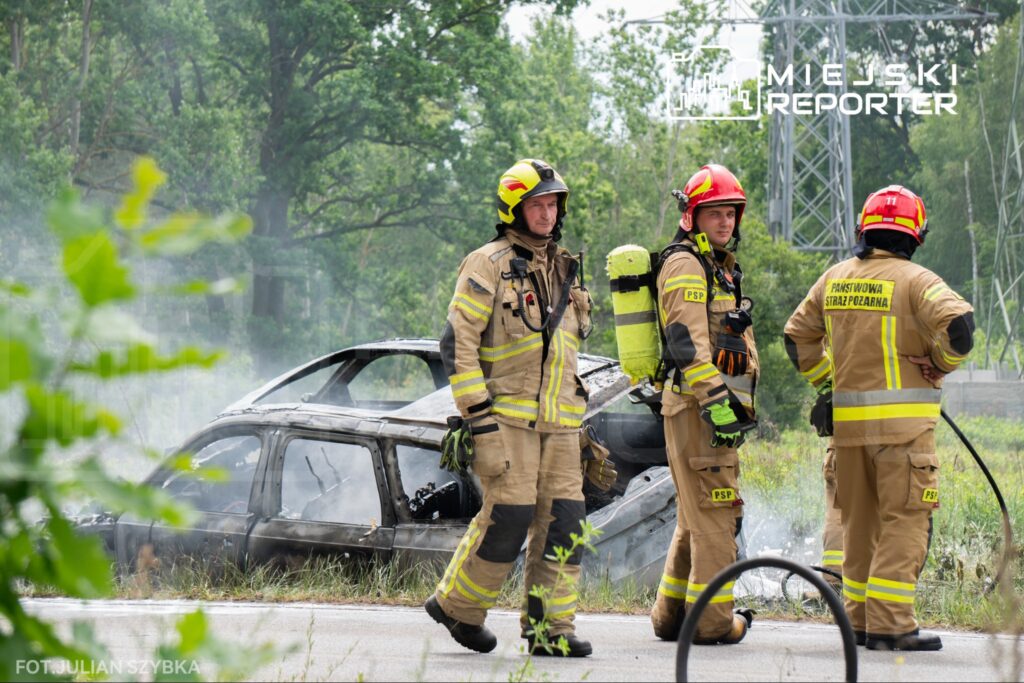 Grupa strażaków w mundurach z hełmami, stojąca obok spalonego wraku samochodu na drodze, w otoczeniu zieleni.