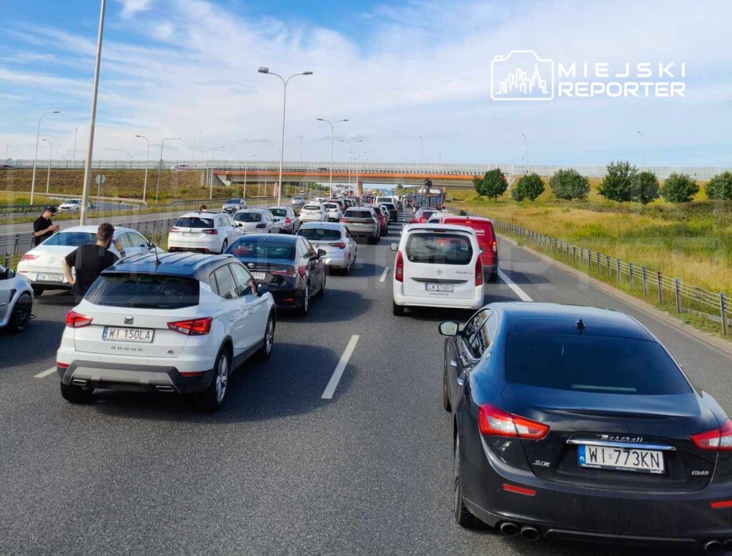 Kierowcy stoją w korku na drodze, otoczeni samochodami osobowymi i dostawczymi, w tle zieleń i niebo.