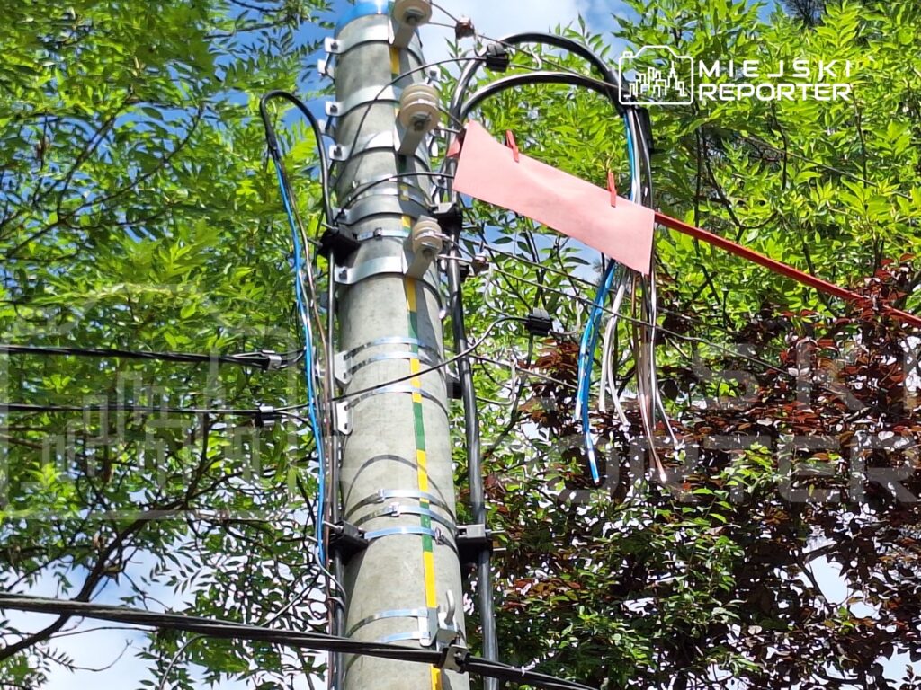 Słup energetyczny z licznymi przewodami, w otoczeniu zieleni drzew i niebieskiego nieba. Na słupie zawieszony różowy papier.