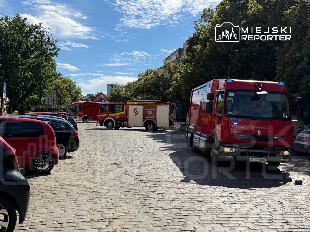 Czerwone wozy strażackie parkują na brukowanej ulicy, otoczone drzewami i zaparkowanymi samochodami.