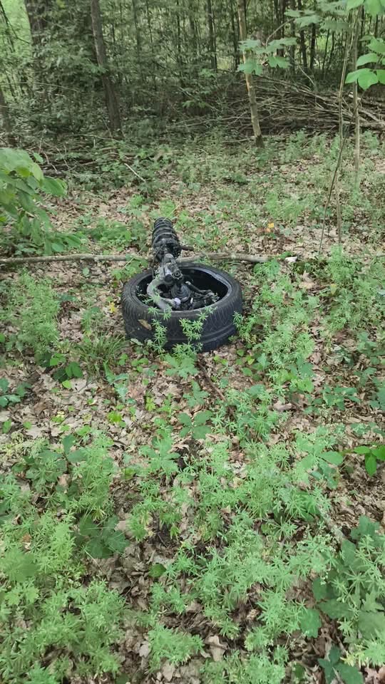 Opona leżąca na ziemi w lesie, otoczona bujną zieloną roślinnością i opadłymi liśćmi.
