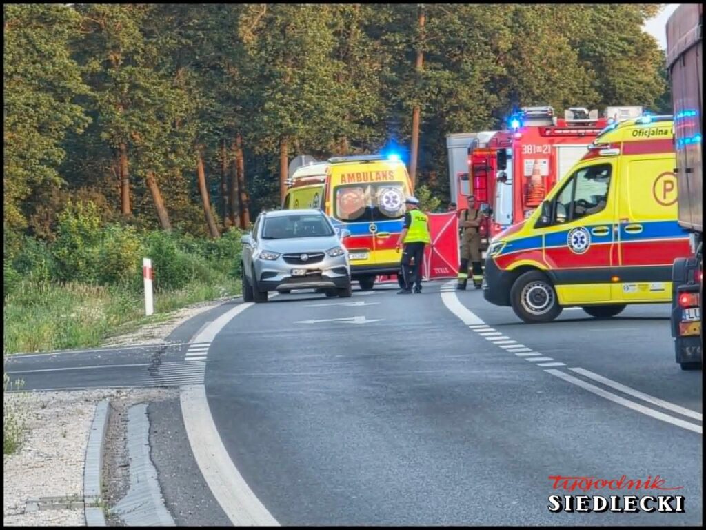 Na zakręcie drogi zatrzymał się samochód osobowy, obok niego pracują ratownicy medyczni oraz strażacy przy wozach ratunkowych.