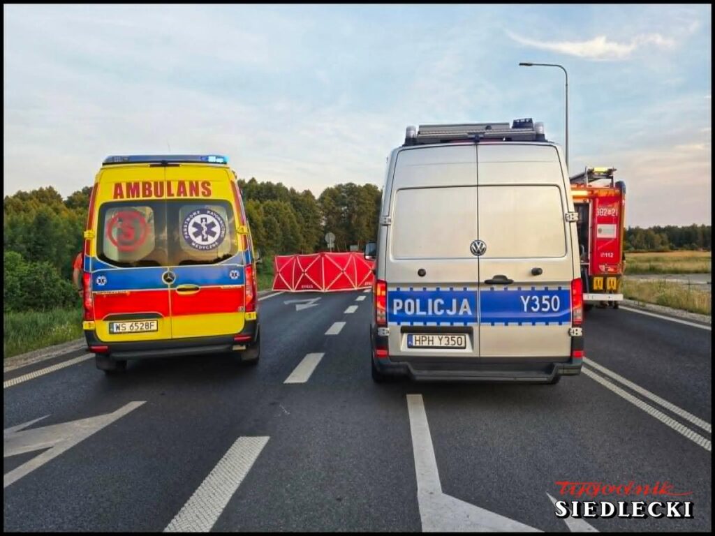 Na drodze stoją karetka pogotowia i radiowóz policji, obok widoczny wóz strażacki oraz czerwony znak ostrzegawczy.