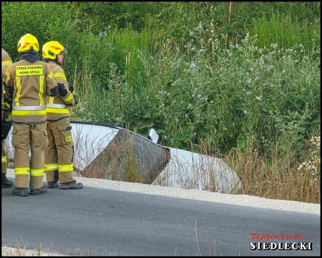 Grupa strażaków w mundurach obserwuje przewrócone auto w zaroślach obok drogi.