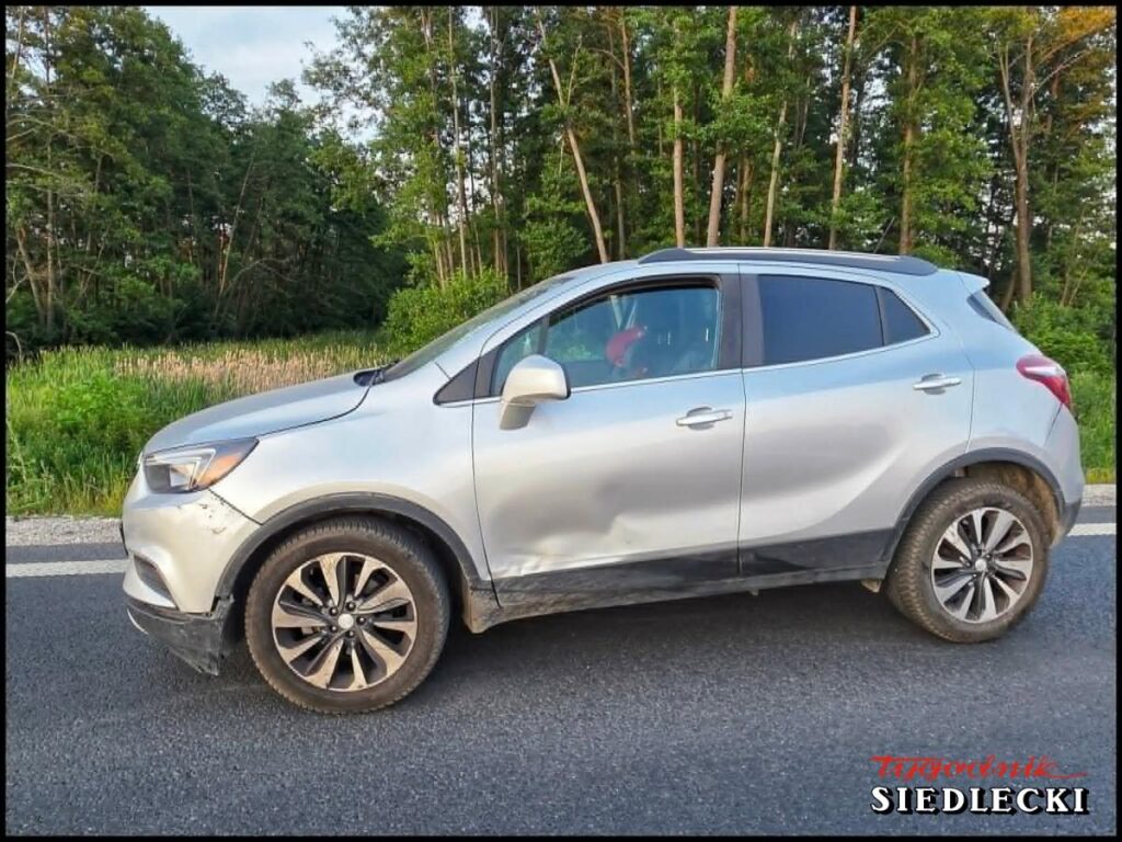Srebrny SUV zaparkowany na poboczu drogi, w tle zalesiony teren. Widać zarysowania na karoserii.