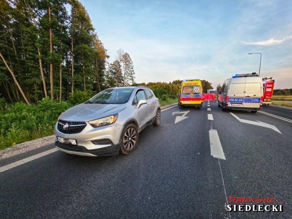 Srebrny samochód osobowy zatrzymany na drodze, obok karetka pogotowia i radiowóz policji, w tle las.