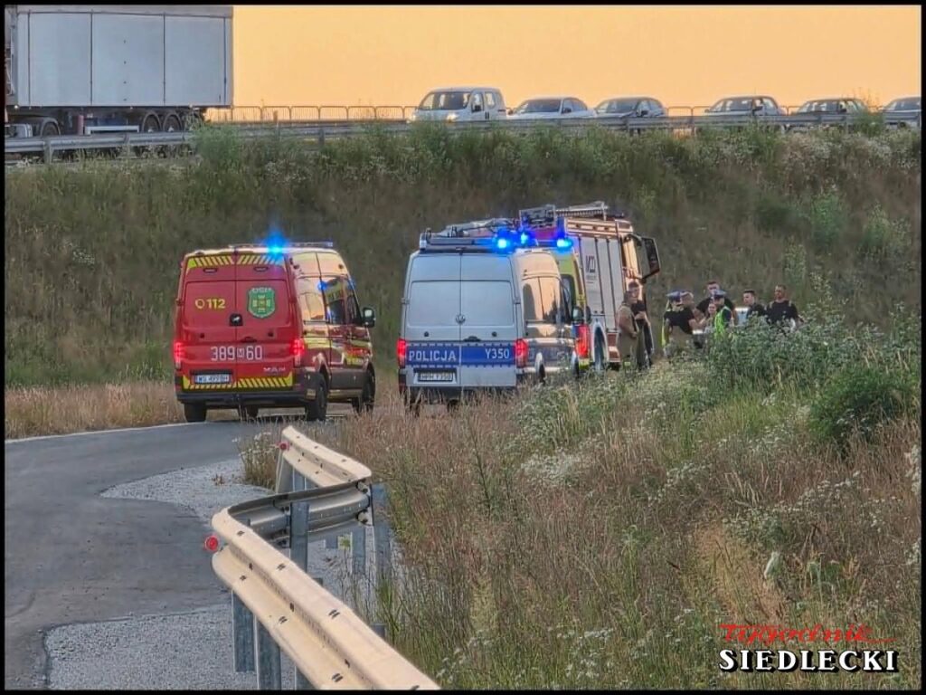 Zespół ratunkowy oraz policja interweniują na poboczu drogi, otoczeni przez wysoką trawę i krzewy.