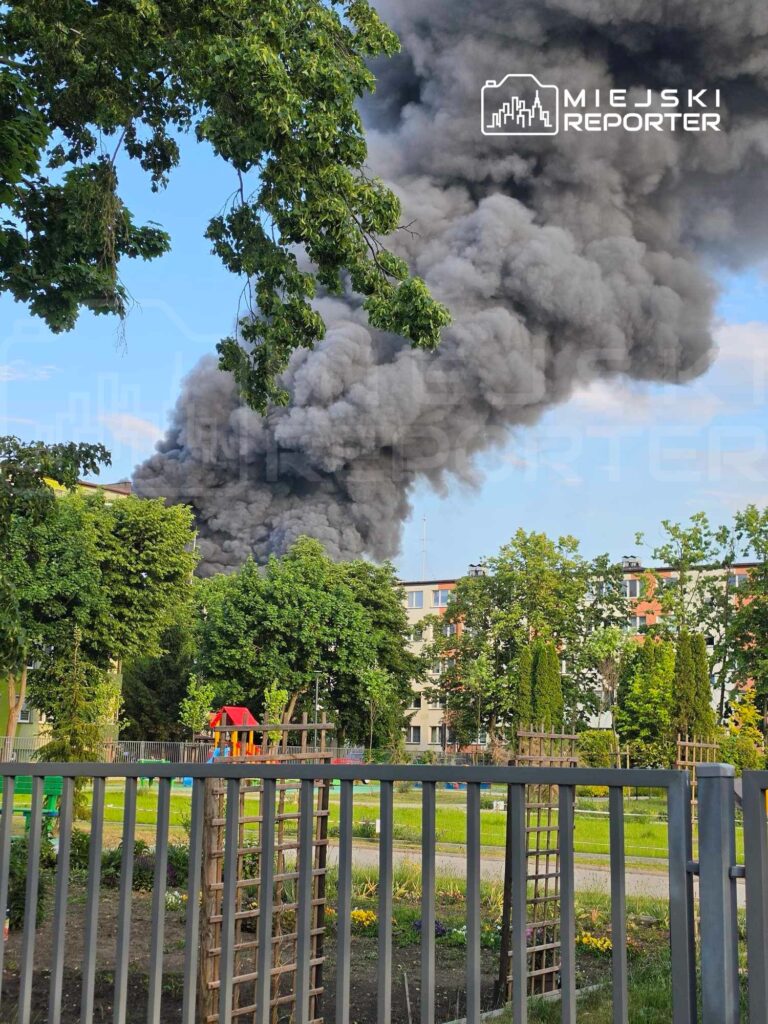 Gęsty, czarny dym unoszący się z budynku w tle, widoczny za drzewami i ogrodzeniem w parku.