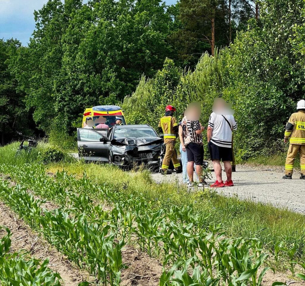 Na drodze stoi uszkodzony samochód, wokół grupka osób rozmawia z ratownikami medycznymi i strażakami. W tle widać pole z rosnącymi roślinami.