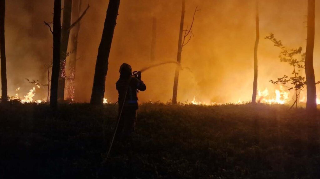 Strażak używa węża gaśniczego do gaszenia pożaru w lesie, otoczonym unoszącym się dymem i płomieniami.