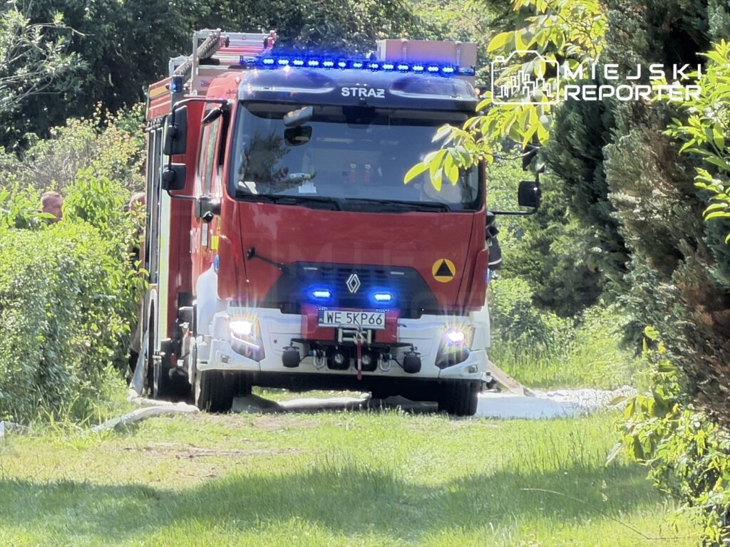 Czerwony wóz strażacki z niebieskimi światłami porusza się po wąskiej ścieżce w otoczeniu zieleni.