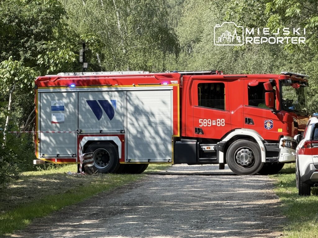 Czerwony wóz strażacki zaparkowany na leśnej drodze, obok widoczny samochód osobowy.