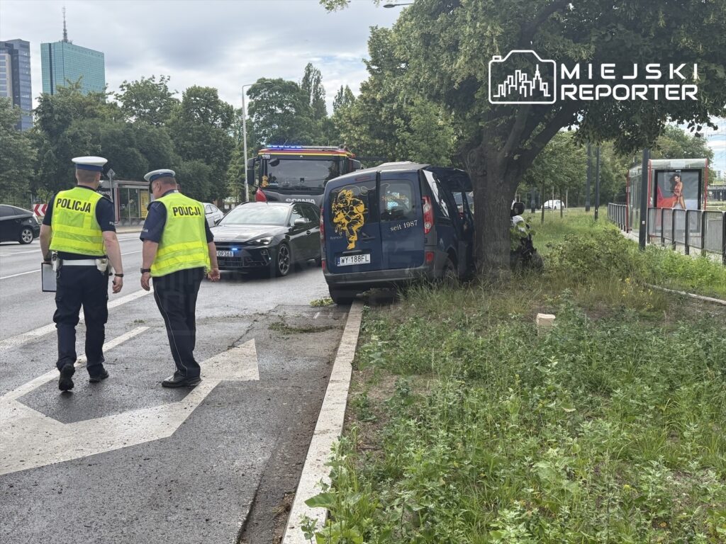 Dwaj policjanci w kamizelkach odblaskowych spacerują obok niebieskiego vana zaparkowanego przy drzewie na poboczu.