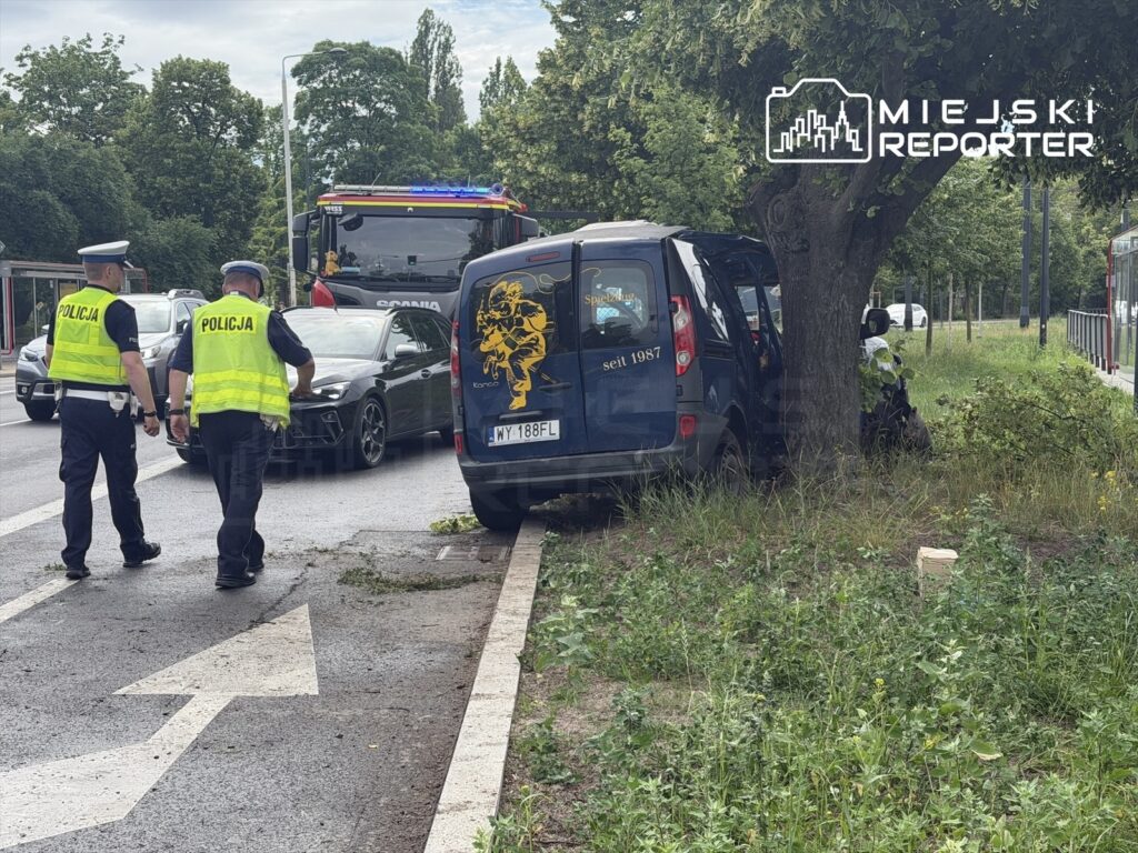 Dwóch policjantów w kamizelkach odblaskowych sprawdza uszkodzony samochód osobowy zaparkowany przy drzewie.