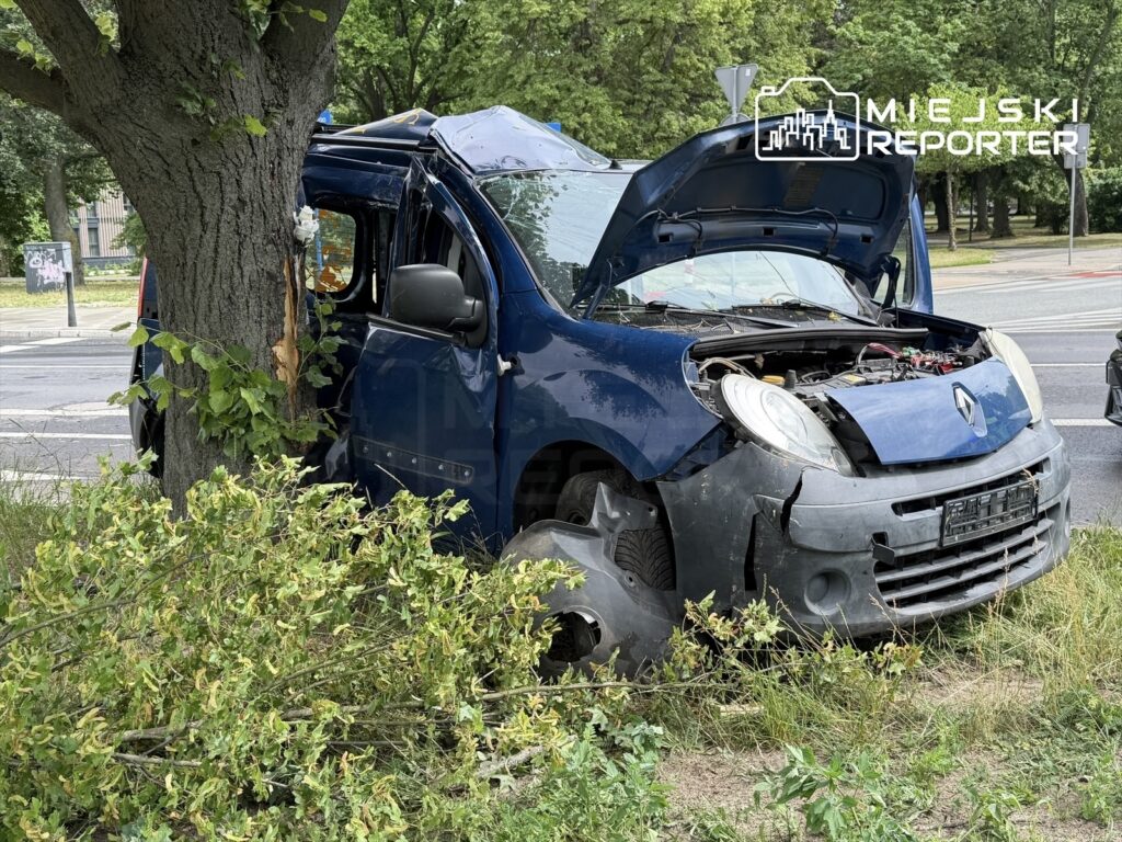 Niebieski samochód dostawczy uderzył w drzewo, z otwartą maską i uszkodzoną karoserią, otoczony zielenią.