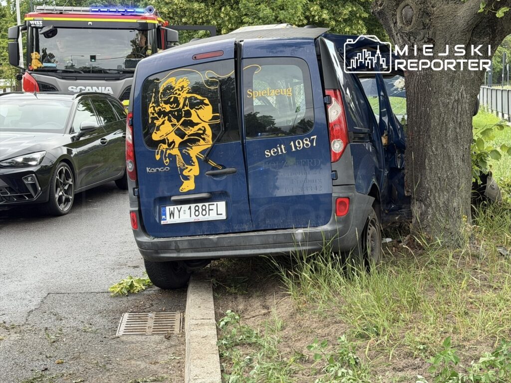 Niebieski pojazd dostawczy zderzony z drzewem na poboczu drogi, obok zaparkowany czarny samochód osobowy.