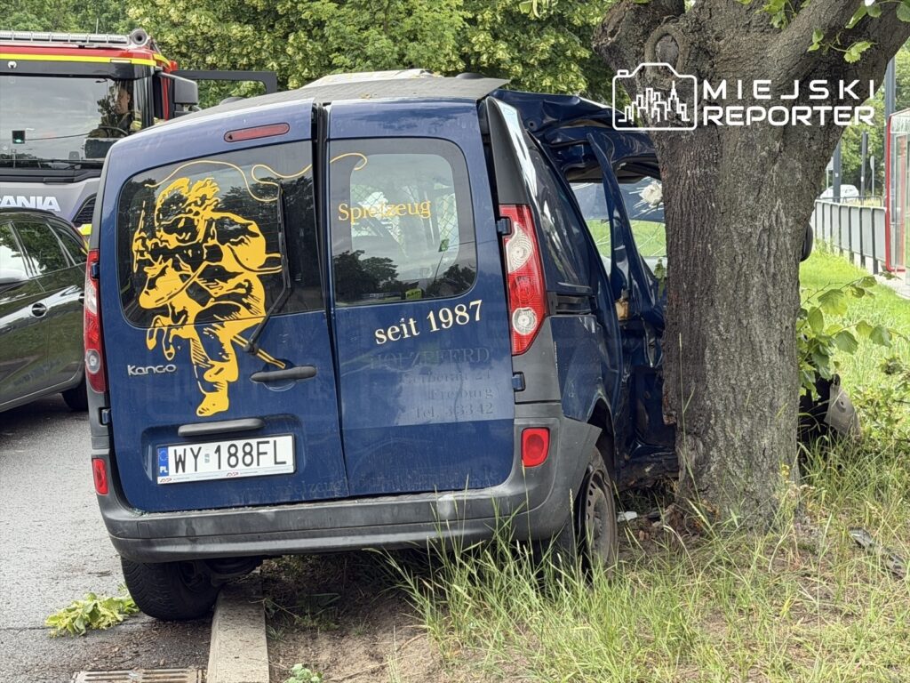 Uszkodzony niebieski pojazd dostawczy z wgniecioną tylną częścią, zaparkowany przy drzewie na poboczu drogi.