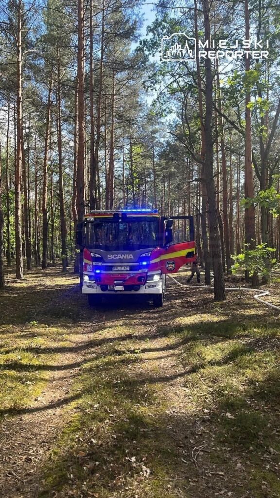 W lesie stoi wóz strażacki z włączonymi sygnałami świetlnymi, otoczony wysokimi drzewami.