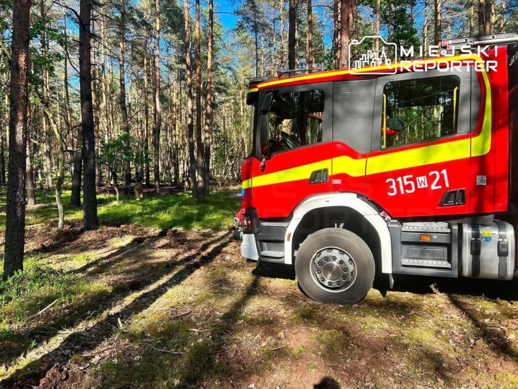 Czerwony wóz strażacki stoi na leśnej drodze otoczonej wysokimi drzewami i zieloną trawą.